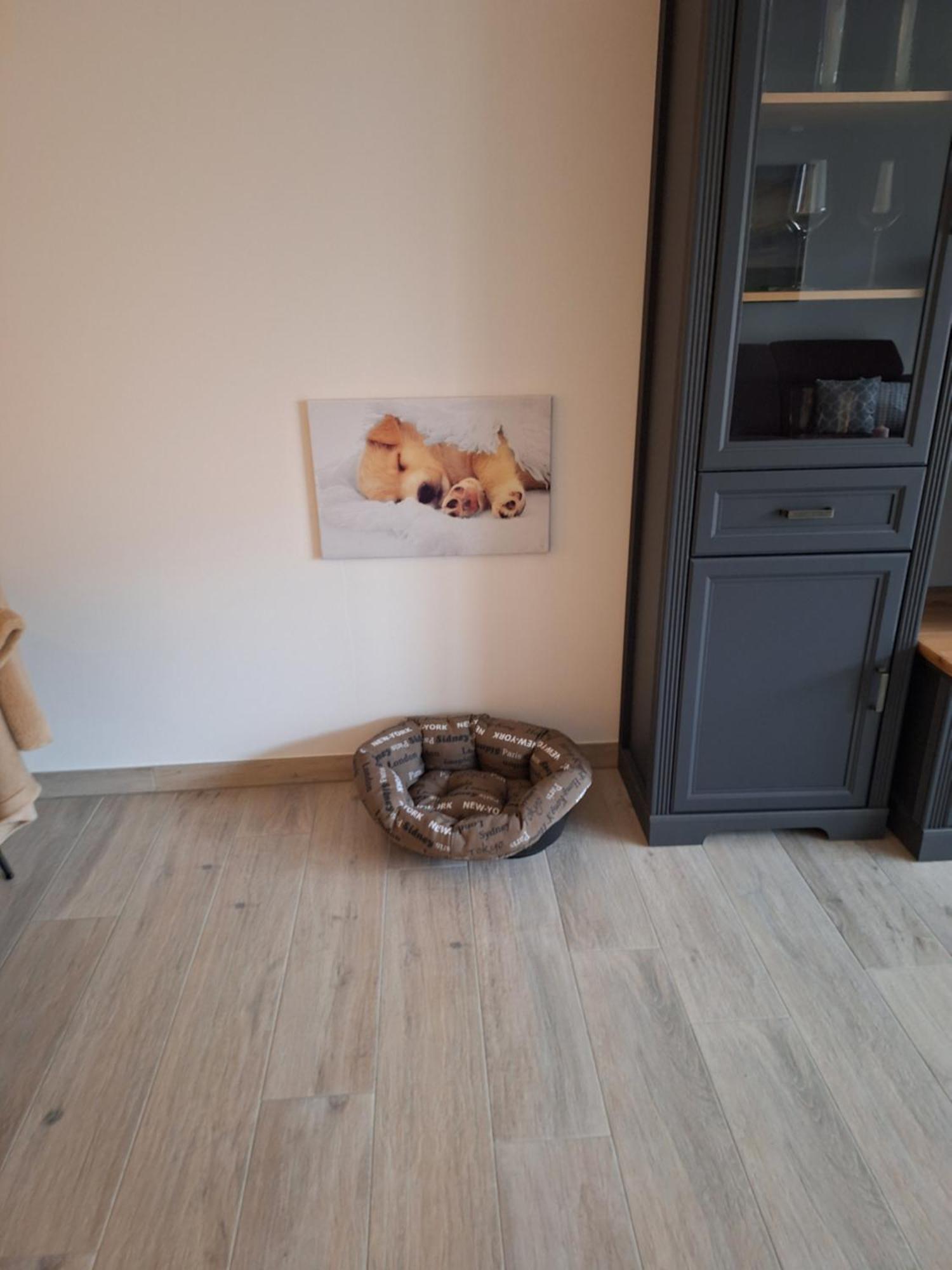Apartment Annies Deichliebe Крумхёрн Экстерьер фото